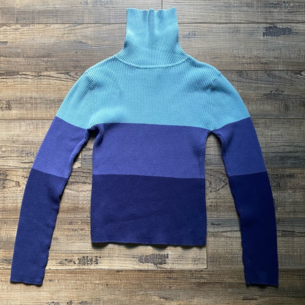 Turtle neck color block fitted sweater